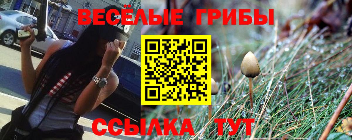 Галлюциногенные грибы мухоморы Богородицк