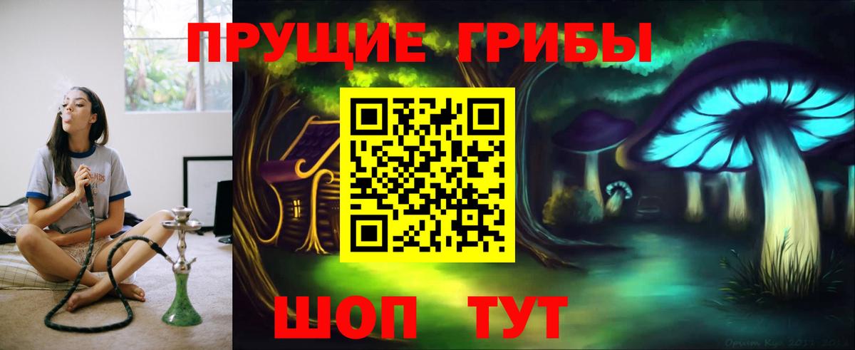 Галлюциногенные грибы Cubensis  Вход с VPN  где купить наркоту  Богородицк 